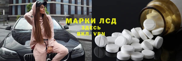 шишки Богородицк