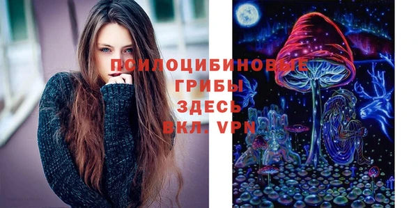 мяу мяу кристалл Бородино
