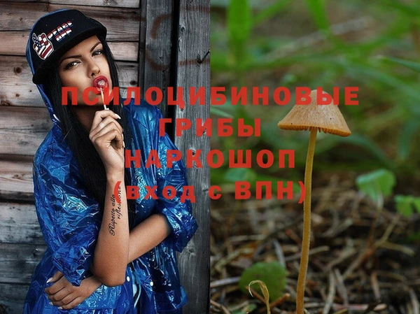 мяу мяу кристалл Бородино