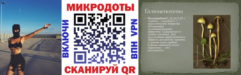 Псилоцибиновые грибы ЛСД где найти omg ссылка Демидов