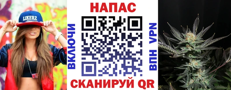 МАРИХУАНА план  Демидов 